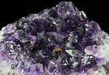 Purple Amethyst Cluster - Uruguay #66763-1